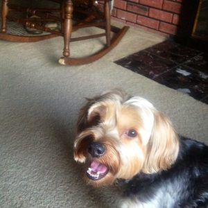 Meet your Posher, Michele